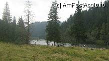 [P02] Lacul Rosu » foto by cristi82d
 - 
<span class="allrVoted glyphicon glyphicon-heart hidden" id="av141627"></span>
<a class="m-l-10 hidden" id="sv141627" onclick="voting_Foto_DelVot(,141627,9349)" role="button">șterge vot <span class="glyphicon glyphicon-remove"></span></a>
<a id="v9141627" class=" c-red"  onclick="voting_Foto_SetVot(141627)" role="button"><span class="glyphicon glyphicon-heart-empty"></span> <b>LIKE</b> = Votează poza</a> <img class="hidden"  id="f141627W9" src="/imagini/loader.gif" border="0" /><span class="AjErrMes hidden" id="e141627ErM"></span>
