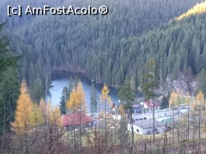 [P26] Coborâm spre Lacul Roșu » foto by Mika
 - 
<span class="allrVoted glyphicon glyphicon-heart hidden" id="av1339820"></span>
<a class="m-l-10 hidden" id="sv1339820" onclick="voting_Foto_DelVot(,1339820,9349)" role="button">șterge vot <span class="glyphicon glyphicon-remove"></span></a>
<a id="v91339820" class=" c-red"  onclick="voting_Foto_SetVot(1339820)" role="button"><span class="glyphicon glyphicon-heart-empty"></span> <b>LIKE</b> = Votează poza</a> <img class="hidden"  id="f1339820W9" src="/imagini/loader.gif" border="0" /><span class="AjErrMes hidden" id="e1339820ErM"></span>