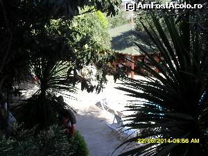 [P20]  -- <small>// FĂRĂ DESCRIERE</small> » foto by adryana
 - 
<span class="allrVoted glyphicon glyphicon-heart hidden" id="av529385"></span>
<a class="m-l-10 hidden" id="sv529385" onclick="voting_Foto_DelVot(,529385,9358)" role="button">șterge vot <span class="glyphicon glyphicon-remove"></span></a>
<a id="v9529385" class=" c-red"  onclick="voting_Foto_SetVot(529385)" role="button"><span class="glyphicon glyphicon-heart-empty"></span> <b>LIKE</b> = Votează poza</a> <img class="hidden"  id="f529385W9" src="/imagini/loader.gif" border="0" /><span class="AjErrMes hidden" id="e529385ErM"></span>