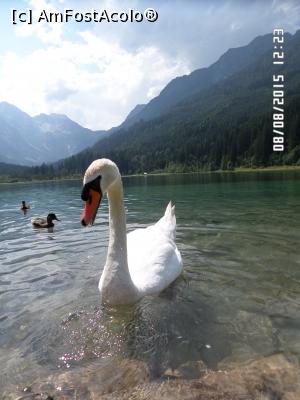 [P01] NUMAI pentru poza aceasta și merită să ajungeți aici!  » foto by Alina53
 - 
<span class="allrVoted glyphicon glyphicon-heart hidden" id="av732296"></span>
<a class="m-l-10 hidden" id="sv732296" onclick="voting_Foto_DelVot(,732296,9363)" role="button">șterge vot <span class="glyphicon glyphicon-remove"></span></a>
<a id="v9732296" class=" c-red"  onclick="voting_Foto_SetVot(732296)" role="button"><span class="glyphicon glyphicon-heart-empty"></span> <b>LIKE</b> = Votează poza</a> <img class="hidden"  id="f732296W9" src="/imagini/loader.gif" border="0" /><span class="AjErrMes hidden" id="e732296ErM"></span>