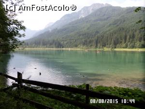 [P11] Decorul lacului Jagersee însuflețit de câteva rățuște » foto by Alina53
 - 
<span class="allrVoted glyphicon glyphicon-heart hidden" id="av732326"></span>
<a class="m-l-10 hidden" id="sv732326" onclick="voting_Foto_DelVot(,732326,9363)" role="button">șterge vot <span class="glyphicon glyphicon-remove"></span></a>
<a id="v9732326" class=" c-red"  onclick="voting_Foto_SetVot(732326)" role="button"><span class="glyphicon glyphicon-heart-empty"></span> <b>LIKE</b> = Votează poza</a> <img class="hidden"  id="f732326W9" src="/imagini/loader.gif" border="0" /><span class="AjErrMes hidden" id="e732326ErM"></span>