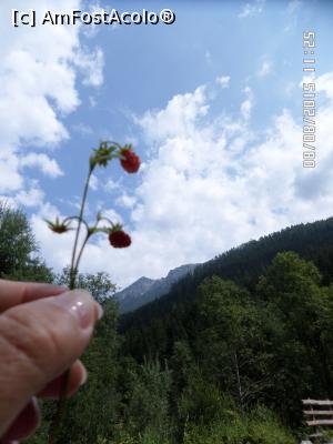 [P48]  -- <small>// FĂRĂ DESCRIERE</small> » foto by Alina53
 - 
<span class="allrVoted glyphicon glyphicon-heart hidden" id="av732387"></span>
<a class="m-l-10 hidden" id="sv732387" onclick="voting_Foto_DelVot(,732387,9363)" role="button">șterge vot <span class="glyphicon glyphicon-remove"></span></a>
<a id="v9732387" class=" c-red"  onclick="voting_Foto_SetVot(732387)" role="button"><span class="glyphicon glyphicon-heart-empty"></span> <b>LIKE</b> = Votează poza</a> <img class="hidden"  id="f732387W9" src="/imagini/loader.gif" border="0" /><span class="AjErrMes hidden" id="e732387ErM"></span>