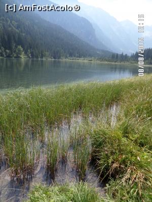 [P68] Jagersee » foto by Alina53
 - 
<span class="allrVoted glyphicon glyphicon-heart hidden" id="av732413"></span>
<a class="m-l-10 hidden" id="sv732413" onclick="voting_Foto_DelVot(,732413,9363)" role="button">șterge vot <span class="glyphicon glyphicon-remove"></span></a>
<a id="v9732413" class=" c-red"  onclick="voting_Foto_SetVot(732413)" role="button"><span class="glyphicon glyphicon-heart-empty"></span> <b>LIKE</b> = Votează poza</a> <img class="hidden"  id="f732413W9" src="/imagini/loader.gif" border="0" /><span class="AjErrMes hidden" id="e732413ErM"></span>