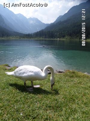 [P82]  -- <small>// FĂRĂ DESCRIERE</small> » foto by Alina53
 - 
<span class="allrVoted glyphicon glyphicon-heart hidden" id="av732428"></span>
<a class="m-l-10 hidden" id="sv732428" onclick="voting_Foto_DelVot(,732428,9363)" role="button">șterge vot <span class="glyphicon glyphicon-remove"></span></a>
<a id="v9732428" class=" c-red"  onclick="voting_Foto_SetVot(732428)" role="button"><span class="glyphicon glyphicon-heart-empty"></span> <b>LIKE</b> = Votează poza</a> <img class="hidden"  id="f732428W9" src="/imagini/loader.gif" border="0" /><span class="AjErrMes hidden" id="e732428ErM"></span>