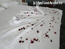 [P23]  -- <small>// FĂRĂ DESCRIERE</small> » foto by narcisa
 - 
<span class="allrVoted glyphicon glyphicon-heart hidden" id="av466791"></span>
<a class="m-l-10 hidden" id="sv466791" onclick="voting_Foto_DelVot(,466791,9431)" role="button">șterge vot <span class="glyphicon glyphicon-remove"></span></a>
<a id="v9466791" class=" c-red"  onclick="voting_Foto_SetVot(466791)" role="button"><span class="glyphicon glyphicon-heart-empty"></span> <b>LIKE</b> = Votează poza</a> <img class="hidden"  id="f466791W9" src="/imagini/loader.gif" border="0" /><span class="AjErrMes hidden" id="e466791ErM"></span>