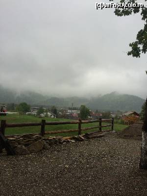 [P13]  -- <small>// FĂRĂ DESCRIERE</small> » foto by timaritza
 - 
<span class="allrVoted glyphicon glyphicon-heart hidden" id="av621135"></span>
<a class="m-l-10 hidden" id="sv621135" onclick="voting_Foto_DelVot(,621135,9466)" role="button">șterge vot <span class="glyphicon glyphicon-remove"></span></a>
<a id="v9621135" class=" c-red"  onclick="voting_Foto_SetVot(621135)" role="button"><span class="glyphicon glyphicon-heart-empty"></span> <b>LIKE</b> = Votează poza</a> <img class="hidden"  id="f621135W9" src="/imagini/loader.gif" border="0" /><span class="AjErrMes hidden" id="e621135ErM"></span>