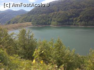 [P52] Lac și baraj Siriu, Buzău » foto by Mioritik
 - 
<span class="allrVoted glyphicon glyphicon-heart hidden" id="av1256032"></span>
<a class="m-l-10 hidden" id="sv1256032" onclick="voting_Foto_DelVot(,1256032,9473)" role="button">șterge vot <span class="glyphicon glyphicon-remove"></span></a>
<a id="v91256032" class=" c-red"  onclick="voting_Foto_SetVot(1256032)" role="button"><span class="glyphicon glyphicon-heart-empty"></span> <b>LIKE</b> = Votează poza</a> <img class="hidden"  id="f1256032W9" src="/imagini/loader.gif" border="0" /><span class="AjErrMes hidden" id="e1256032ErM"></span>