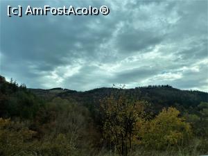 [P05] O toamna frumoasa plina de culoare » foto by mishu
 - 
<span class="allrVoted glyphicon glyphicon-heart hidden" id="av1335879"></span>
<a class="m-l-10 hidden" id="sv1335879" onclick="voting_Foto_DelVot(,1335879,9473)" role="button">șterge vot <span class="glyphicon glyphicon-remove"></span></a>
<a id="v91335879" class=" c-red"  onclick="voting_Foto_SetVot(1335879)" role="button"><span class="glyphicon glyphicon-heart-empty"></span> <b>LIKE</b> = Votează poza</a> <img class="hidden"  id="f1335879W9" src="/imagini/loader.gif" border="0" /><span class="AjErrMes hidden" id="e1335879ErM"></span>