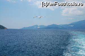 [P17] Thassos, in zare. :)  » foto by zamolx
 - 
<span class="allrVoted glyphicon glyphicon-heart hidden" id="av702277"></span>
<a class="m-l-10 hidden" id="sv702277" onclick="voting_Foto_DelVot(,702277,9496)" role="button">șterge vot <span class="glyphicon glyphicon-remove"></span></a>
<a id="v9702277" class=" c-red"  onclick="voting_Foto_SetVot(702277)" role="button"><span class="glyphicon glyphicon-heart-empty"></span> <b>LIKE</b> = Votează poza</a> <img class="hidden"  id="f702277W9" src="/imagini/loader.gif" border="0" /><span class="AjErrMes hidden" id="e702277ErM"></span>