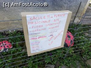 [P18] <strong>Descoperă zona Viscri - la plimbare prin sat</strong> » foto by ⭐ValentinB_88⭐
 - 
<span class="allrVoted glyphicon glyphicon-heart hidden" id="av1319570"></span>
<a class="m-l-10 hidden" id="sv1319570" onclick="voting_Foto_DelVot(,1319570,9553)" role="button">șterge vot <span class="glyphicon glyphicon-remove"></span></a>
<a id="v91319570" class=" c-red"  onclick="voting_Foto_SetVot(1319570)" role="button"><span class="glyphicon glyphicon-heart-empty"></span> <b>LIKE</b> = Votează poza</a> <img class="hidden"  id="f1319570W9" src="/imagini/loader.gif" border="0" /><span class="AjErrMes hidden" id="e1319570ErM"></span>