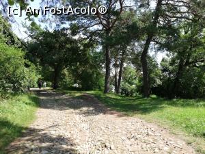 [P24] <strong>Descoperă zona Viscri - la plimbare prin sat</strong> » foto by ⭐ValentinB_88⭐
 - 
<span class="allrVoted glyphicon glyphicon-heart hidden" id="av1319576"></span>
<a class="m-l-10 hidden" id="sv1319576" onclick="voting_Foto_DelVot(,1319576,9553)" role="button">șterge vot <span class="glyphicon glyphicon-remove"></span></a>
<a id="v91319576" class=" c-red"  onclick="voting_Foto_SetVot(1319576)" role="button"><span class="glyphicon glyphicon-heart-empty"></span> <b>LIKE</b> = Votează poza</a> <img class="hidden"  id="f1319576W9" src="/imagini/loader.gif" border="0" /><span class="AjErrMes hidden" id="e1319576ErM"></span>