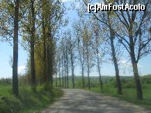 [P03] Pana la cetate sunt 8 Km de drum destul de rau » foto by dorgo
 - 
<span class="allrVoted glyphicon glyphicon-heart hidden" id="av201059"></span>
<a class="m-l-10 hidden" id="sv201059" onclick="voting_Foto_DelVot(,201059,9553)" role="button">șterge vot <span class="glyphicon glyphicon-remove"></span></a>
<a id="v9201059" class=" c-red"  onclick="voting_Foto_SetVot(201059)" role="button"><span class="glyphicon glyphicon-heart-empty"></span> <b>LIKE</b> = Votează poza</a> <img class="hidden"  id="f201059W9" src="/imagini/loader.gif" border="0" /><span class="AjErrMes hidden" id="e201059ErM"></span>