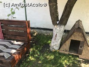 [P40] Casa nervosului cățel, la Onea, Viscri » foto by krisstinna
 - 
<span class="allrVoted glyphicon glyphicon-heart hidden" id="av919603"></span>
<a class="m-l-10 hidden" id="sv919603" onclick="voting_Foto_DelVot(,919603,9553)" role="button">șterge vot <span class="glyphicon glyphicon-remove"></span></a>
<a id="v9919603" class=" c-red"  onclick="voting_Foto_SetVot(919603)" role="button"><span class="glyphicon glyphicon-heart-empty"></span> <b>LIKE</b> = Votează poza</a> <img class="hidden"  id="f919603W9" src="/imagini/loader.gif" border="0" /><span class="AjErrMes hidden" id="e919603ErM"></span>