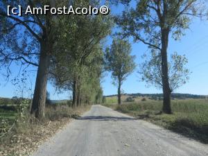 [P22] Drumul neasfaltat către localitatea Dacia.  » foto by tata123 🔱
 - 
<span class="allrVoted glyphicon glyphicon-heart hidden" id="av913143"></span>
<a class="m-l-10 hidden" id="sv913143" onclick="voting_Foto_DelVot(,913143,9553)" role="button">șterge vot <span class="glyphicon glyphicon-remove"></span></a>
<a id="v9913143" class=" c-red"  onclick="voting_Foto_SetVot(913143)" role="button"><span class="glyphicon glyphicon-heart-empty"></span> <b>LIKE</b> = Votează poza</a> <img class="hidden"  id="f913143W9" src="/imagini/loader.gif" border="0" /><span class="AjErrMes hidden" id="e913143ErM"></span>