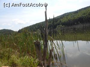 [P11] Lacul Cuejdel - cel mai tânăr lac de baraj natural din România. » foto by iulianic
 - 
<span class="allrVoted glyphicon glyphicon-heart hidden" id="av1182297"></span>
<a class="m-l-10 hidden" id="sv1182297" onclick="voting_Foto_DelVot(,1182297,9631)" role="button">șterge vot <span class="glyphicon glyphicon-remove"></span></a>
<a id="v91182297" class=" c-red"  onclick="voting_Foto_SetVot(1182297)" role="button"><span class="glyphicon glyphicon-heart-empty"></span> <b>LIKE</b> = Votează poza</a> <img class="hidden"  id="f1182297W9" src="/imagini/loader.gif" border="0" /><span class="AjErrMes hidden" id="e1182297ErM"></span>