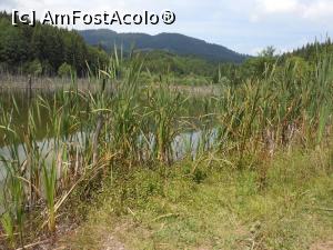 [P12] Lacul Cuejdel - cel mai tânăr lac de baraj natural din România. » foto by iulianic
 - 
<span class="allrVoted glyphicon glyphicon-heart hidden" id="av1182298"></span>
<a class="m-l-10 hidden" id="sv1182298" onclick="voting_Foto_DelVot(,1182298,9631)" role="button">șterge vot <span class="glyphicon glyphicon-remove"></span></a>
<a id="v91182298" class=" c-red"  onclick="voting_Foto_SetVot(1182298)" role="button"><span class="glyphicon glyphicon-heart-empty"></span> <b>LIKE</b> = Votează poza</a> <img class="hidden"  id="f1182298W9" src="/imagini/loader.gif" border="0" /><span class="AjErrMes hidden" id="e1182298ErM"></span>