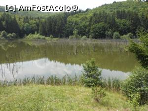 [P02] Lacul Cuejdel - cel mai tânăr lac de baraj natural din România. » foto by iulianic
 - 
<span class="allrVoted glyphicon glyphicon-heart hidden" id="av1182288"></span>
<a class="m-l-10 hidden" id="sv1182288" onclick="voting_Foto_DelVot(,1182288,9631)" role="button">șterge vot <span class="glyphicon glyphicon-remove"></span></a>
<a id="v91182288" class=" c-red"  onclick="voting_Foto_SetVot(1182288)" role="button"><span class="glyphicon glyphicon-heart-empty"></span> <b>LIKE</b> = Votează poza</a> <img class="hidden"  id="f1182288W9" src="/imagini/loader.gif" border="0" /><span class="AjErrMes hidden" id="e1182288ErM"></span>