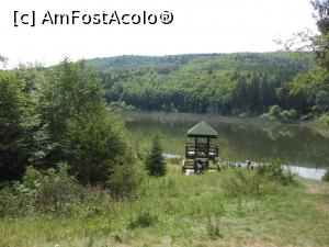 [P04] Lacul Cuejdel - cel mai tânăr lac de baraj natural din România. » foto by iulianic
 - 
<span class="allrVoted glyphicon glyphicon-heart hidden" id="av1182290"></span>
<a class="m-l-10 hidden" id="sv1182290" onclick="voting_Foto_DelVot(,1182290,9631)" role="button">șterge vot <span class="glyphicon glyphicon-remove"></span></a>
<a id="v91182290" class=" c-red"  onclick="voting_Foto_SetVot(1182290)" role="button"><span class="glyphicon glyphicon-heart-empty"></span> <b>LIKE</b> = Votează poza</a> <img class="hidden"  id="f1182290W9" src="/imagini/loader.gif" border="0" /><span class="AjErrMes hidden" id="e1182290ErM"></span>