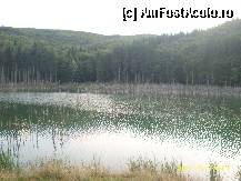 [P12] lacul cuejdel » foto by cristina1973
 - 
<span class="allrVoted glyphicon glyphicon-heart hidden" id="av292409"></span>
<a class="m-l-10 hidden" id="sv292409" onclick="voting_Foto_DelVot(,292409,9631)" role="button">șterge vot <span class="glyphicon glyphicon-remove"></span></a>
<a id="v9292409" class=" c-red"  onclick="voting_Foto_SetVot(292409)" role="button"><span class="glyphicon glyphicon-heart-empty"></span> <b>LIKE</b> = Votează poza</a> <img class="hidden"  id="f292409W9" src="/imagini/loader.gif" border="0" /><span class="AjErrMes hidden" id="e292409ErM"></span>
