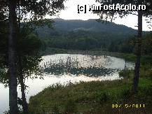 [P06] lacul cuejdel » foto by cristina1973
 - 
<span class="allrVoted glyphicon glyphicon-heart hidden" id="av292403"></span>
<a class="m-l-10 hidden" id="sv292403" onclick="voting_Foto_DelVot(,292403,9631)" role="button">șterge vot <span class="glyphicon glyphicon-remove"></span></a>
<a id="v9292403" class=" c-red"  onclick="voting_Foto_SetVot(292403)" role="button"><span class="glyphicon glyphicon-heart-empty"></span> <b>LIKE</b> = Votează poza</a> <img class="hidden"  id="f292403W9" src="/imagini/loader.gif" border="0" /><span class="AjErrMes hidden" id="e292403ErM"></span>
