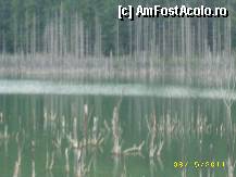 [P07] lacul cuejdel » foto by cristina1973
 - 
<span class="allrVoted glyphicon glyphicon-heart hidden" id="av292404"></span>
<a class="m-l-10 hidden" id="sv292404" onclick="voting_Foto_DelVot(,292404,9631)" role="button">șterge vot <span class="glyphicon glyphicon-remove"></span></a>
<a id="v9292404" class=" c-red"  onclick="voting_Foto_SetVot(292404)" role="button"><span class="glyphicon glyphicon-heart-empty"></span> <b>LIKE</b> = Votează poza</a> <img class="hidden"  id="f292404W9" src="/imagini/loader.gif" border="0" /><span class="AjErrMes hidden" id="e292404ErM"></span>