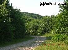 [P09] Porţiune din drumul forestier spre Baia dintre Slătioara şi Bogata. » foto by Qvadratvus
 - 
<span class="allrVoted glyphicon glyphicon-heart hidden" id="av206425"></span>
<a class="m-l-10 hidden" id="sv206425" onclick="voting_Foto_DelVot(,206425,9631)" role="button">șterge vot <span class="glyphicon glyphicon-remove"></span></a>
<a id="v9206425" class=" c-red"  onclick="voting_Foto_SetVot(206425)" role="button"><span class="glyphicon glyphicon-heart-empty"></span> <b>LIKE</b> = Votează poza</a> <img class="hidden"  id="f206425W9" src="/imagini/loader.gif" border="0" /><span class="AjErrMes hidden" id="e206425ErM"></span>
