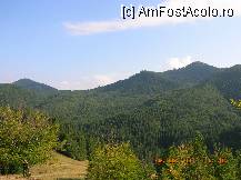 [P05] De pe drumul spre Lacul Cuiejdel - peste Valea Cuiejdiului se zărește (cred) în dreapta Prislopașul. (1218 m) » foto by Qvadratvus
 - 
<span class="allrVoted glyphicon glyphicon-heart hidden" id="av238181"></span>
<a class="m-l-10 hidden" id="sv238181" onclick="voting_Foto_DelVot(,238181,9631)" role="button">șterge vot <span class="glyphicon glyphicon-remove"></span></a>
<a id="v9238181" class=" c-red"  onclick="voting_Foto_SetVot(238181)" role="button"><span class="glyphicon glyphicon-heart-empty"></span> <b>LIKE</b> = Votează poza</a> <img class="hidden"  id="f238181W9" src="/imagini/loader.gif" border="0" /><span class="AjErrMes hidden" id="e238181ErM"></span>