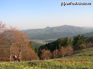 [P09] Coborâm ocolind vârful. Drumul (care se află puțin mai jos și o ia la stânga), la un moment dat o ia în jos spre valea Cracăului, dar noi va trebui să ținem coasta spre Poiana Țigăncii.  » foto by Qvadratvus
 - 
<span class="allrVoted glyphicon glyphicon-heart hidden" id="av504398"></span>
<a class="m-l-10 hidden" id="sv504398" onclick="voting_Foto_DelVot(,504398,9631)" role="button">șterge vot <span class="glyphicon glyphicon-remove"></span></a>
<a id="v9504398" class=" c-red"  onclick="voting_Foto_SetVot(504398)" role="button"><span class="glyphicon glyphicon-heart-empty"></span> <b>LIKE</b> = Votează poza</a> <img class="hidden"  id="f504398W9" src="/imagini/loader.gif" border="0" /><span class="AjErrMes hidden" id="e504398ErM"></span>