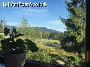 [P01] Foto din camera » foto by anca18v
 - 
<span class="allrVoted glyphicon glyphicon-heart hidden" id="av780092"></span>
<a class="m-l-10 hidden" id="sv780092" onclick="voting_Foto_DelVot(,780092,9635)" role="button">șterge vot <span class="glyphicon glyphicon-remove"></span></a>
<a id="v9780092" class=" c-red"  onclick="voting_Foto_SetVot(780092)" role="button"><span class="glyphicon glyphicon-heart-empty"></span> <b>LIKE</b> = Votează poza</a> <img class="hidden"  id="f780092W9" src="/imagini/loader.gif" border="0" /><span class="AjErrMes hidden" id="e780092ErM"></span>