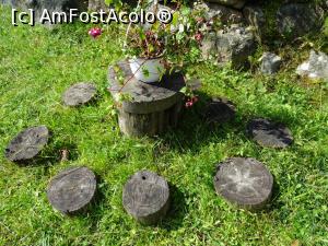 [P23] Decoruri naturale în curtea pensiunii.  » foto by tata123 🔱
 - 
<span class="allrVoted glyphicon glyphicon-heart hidden" id="av1098836"></span>
<a class="m-l-10 hidden" id="sv1098836" onclick="voting_Foto_DelVot(,1098836,9635)" role="button">șterge vot <span class="glyphicon glyphicon-remove"></span></a>
<a id="v91098836" class=" c-red"  onclick="voting_Foto_SetVot(1098836)" role="button"><span class="glyphicon glyphicon-heart-empty"></span> <b>LIKE</b> = Votează poza</a> <img class="hidden"  id="f1098836W9" src="/imagini/loader.gif" border="0" /><span class="AjErrMes hidden" id="e1098836ErM"></span>