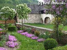[P05]  -- <small>// FĂRĂ DESCRIERE</small> » foto by Cristian_h
 - 
<span class="allrVoted glyphicon glyphicon-heart hidden" id="av8069"></span>
<a class="m-l-10 hidden" id="sv8069" onclick="voting_Foto_DelVot(,8069,9643)" role="button">șterge vot <span class="glyphicon glyphicon-remove"></span></a>
<a id="v98069" class=" c-red"  onclick="voting_Foto_SetVot(8069)" role="button"><span class="glyphicon glyphicon-heart-empty"></span> <b>LIKE</b> = Votează poza</a> <img class="hidden"  id="f8069W9" src="/imagini/loader.gif" border="0" /><span class="AjErrMes hidden" id="e8069ErM"></span>
