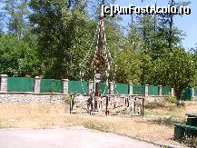 [P24] Manastirea a fost restaurata de Ministerul Aeruui si Marinei in 1938-1940, devenind asfel (simbolic)'loc de inchinaciune si ruga' pentru aviatori si marinari » foto by mario 110
 - 
<span class="allrVoted glyphicon glyphicon-heart hidden" id="av47314"></span>
<a class="m-l-10 hidden" id="sv47314" onclick="voting_Foto_DelVot(,47314,9645)" role="button">șterge vot <span class="glyphicon glyphicon-remove"></span></a>
<a id="v947314" class=" c-red"  onclick="voting_Foto_SetVot(47314)" role="button"><span class="glyphicon glyphicon-heart-empty"></span> <b>LIKE</b> = Votează poza</a> <img class="hidden"  id="f47314W9" src="/imagini/loader.gif" border="0" /><span class="AjErrMes hidden" id="e47314ErM"></span>