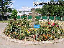 [P30]  -- <small>// FĂRĂ DESCRIERE</small> » foto by mario 110
 - 
<span class="allrVoted glyphicon glyphicon-heart hidden" id="av47323"></span>
<a class="m-l-10 hidden" id="sv47323" onclick="voting_Foto_DelVot(,47323,9645)" role="button">șterge vot <span class="glyphicon glyphicon-remove"></span></a>
<a id="v947323" class=" c-red"  onclick="voting_Foto_SetVot(47323)" role="button"><span class="glyphicon glyphicon-heart-empty"></span> <b>LIKE</b> = Votează poza</a> <img class="hidden"  id="f47323W9" src="/imagini/loader.gif" border="0" /><span class="AjErrMes hidden" id="e47323ErM"></span>