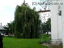 [P10] Mănăstirea Zamfira , salcia pletoasa » foto by dannek
 - 
<span class="allrVoted glyphicon glyphicon-heart hidden" id="av111563"></span>
<a class="m-l-10 hidden" id="sv111563" onclick="voting_Foto_DelVot(,111563,9671)" role="button">șterge vot <span class="glyphicon glyphicon-remove"></span></a>
<a id="v9111563" class=" c-red"  onclick="voting_Foto_SetVot(111563)" role="button"><span class="glyphicon glyphicon-heart-empty"></span> <b>LIKE</b> = Votează poza</a> <img class="hidden"  id="f111563W9" src="/imagini/loader.gif" border="0" /><span class="AjErrMes hidden" id="e111563ErM"></span>