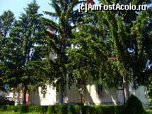 [P08] Mănăstirea Ciolanu, brazii falnici ai Mănăstirii » foto by magdalena
 - 
<span class="allrVoted glyphicon glyphicon-heart hidden" id="av282115"></span>
<a class="m-l-10 hidden" id="sv282115" onclick="voting_Foto_DelVot(,282115,9673)" role="button">șterge vot <span class="glyphicon glyphicon-remove"></span></a>
<a id="v9282115" class=" c-red"  onclick="voting_Foto_SetVot(282115)" role="button"><span class="glyphicon glyphicon-heart-empty"></span> <b>LIKE</b> = Votează poza</a> <img class="hidden"  id="f282115W9" src="/imagini/loader.gif" border="0" /><span class="AjErrMes hidden" id="e282115ErM"></span>