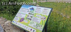 [P11] Tablou explicativ » foto by FrancescaClara
 - 
<span class="allrVoted glyphicon glyphicon-heart hidden" id="av1536204"></span>
<a class="m-l-10 hidden" id="sv1536204" onclick="voting_Foto_DelVot(,1536204,9711)" role="button">șterge vot <span class="glyphicon glyphicon-remove"></span></a>
<a id="v91536204" class=" c-red"  onclick="voting_Foto_SetVot(1536204)" role="button"><span class="glyphicon glyphicon-heart-empty"></span> <b>LIKE</b> = Votează poza</a> <img class="hidden"  id="f1536204W9" src="/imagini/loader.gif" border="0" /><span class="AjErrMes hidden" id="e1536204ErM"></span>