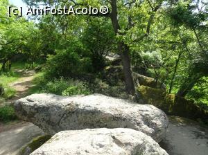 [P52] Sanctuarul tracic Beglik Taş - pietre în pădure » foto by nicole33
 - 
<span class="allrVoted glyphicon glyphicon-heart hidden" id="av964353"></span>
<a class="m-l-10 hidden" id="sv964353" onclick="voting_Foto_DelVot(,964353,9723)" role="button">șterge vot <span class="glyphicon glyphicon-remove"></span></a>
<a id="v9964353" class=" c-red"  onclick="voting_Foto_SetVot(964353)" role="button"><span class="glyphicon glyphicon-heart-empty"></span> <b>LIKE</b> = Votează poza</a> <img class="hidden"  id="f964353W9" src="/imagini/loader.gif" border="0" /><span class="AjErrMes hidden" id="e964353ErM"></span>