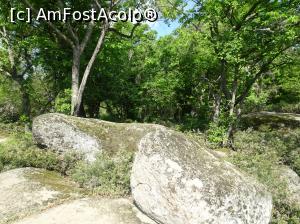 [P54] Sanctuarul tracic Beglik Taş - prin pădure » foto by nicole33
 - 
<span class="allrVoted glyphicon glyphicon-heart hidden" id="av964355"></span>
<a class="m-l-10 hidden" id="sv964355" onclick="voting_Foto_DelVot(,964355,9723)" role="button">șterge vot <span class="glyphicon glyphicon-remove"></span></a>
<a id="v9964355" class=" c-red"  onclick="voting_Foto_SetVot(964355)" role="button"><span class="glyphicon glyphicon-heart-empty"></span> <b>LIKE</b> = Votează poza</a> <img class="hidden"  id="f964355W9" src="/imagini/loader.gif" border="0" /><span class="AjErrMes hidden" id="e964355ErM"></span>