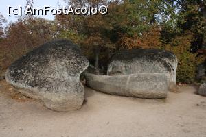 [P14] Primorsko, Beglik Tash, Două Pietre de Sacrificiu încadrează Patul Conjugal așezat la mijloc » foto by mprofeanu
 - 
<span class="allrVoted glyphicon glyphicon-heart hidden" id="av1209937"></span>
<a class="m-l-10 hidden" id="sv1209937" onclick="voting_Foto_DelVot(,1209937,9723)" role="button">șterge vot <span class="glyphicon glyphicon-remove"></span></a>
<a id="v91209937" class=" c-red"  onclick="voting_Foto_SetVot(1209937)" role="button"><span class="glyphicon glyphicon-heart-empty"></span> <b>LIKE</b> = Votează poza</a> <img class="hidden"  id="f1209937W9" src="/imagini/loader.gif" border="0" /><span class="AjErrMes hidden" id="e1209937ErM"></span>