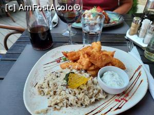 [P29] Grujoane de pui cu orez sălbatic și sos tzatziki. » foto by maryka
 - 
<span class="allrVoted glyphicon glyphicon-heart hidden" id="av1302498"></span>
<a class="m-l-10 hidden" id="sv1302498" onclick="voting_Foto_DelVot(,1302498,9747)" role="button">șterge vot <span class="glyphicon glyphicon-remove"></span></a>
<a id="v91302498" class=" c-red"  onclick="voting_Foto_SetVot(1302498)" role="button"><span class="glyphicon glyphicon-heart-empty"></span> <b>LIKE</b> = Votează poza</a> <img class="hidden"  id="f1302498W9" src="/imagini/loader.gif" border="0" /><span class="AjErrMes hidden" id="e1302498ErM"></span>