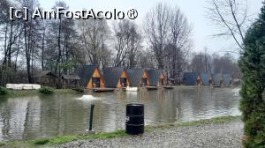 [P02] vedere spre lac » foto by Yolanda
 - 
<span class="allrVoted glyphicon glyphicon-heart hidden" id="av1507865"></span>
<a class="m-l-10 hidden" id="sv1507865" onclick="voting_Foto_DelVot(,1507865,9747)" role="button">șterge vot <span class="glyphicon glyphicon-remove"></span></a>
<a id="v91507865" class=" c-red"  onclick="voting_Foto_SetVot(1507865)" role="button"><span class="glyphicon glyphicon-heart-empty"></span> <b>LIKE</b> = Votează poza</a> <img class="hidden"  id="f1507865W9" src="/imagini/loader.gif" border="0" /><span class="AjErrMes hidden" id="e1507865ErM"></span>