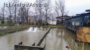 [P04] bazinele cu pesti » foto by Yolanda
 - 
<span class="allrVoted glyphicon glyphicon-heart hidden" id="av1507867"></span>
<a class="m-l-10 hidden" id="sv1507867" onclick="voting_Foto_DelVot(,1507867,9747)" role="button">șterge vot <span class="glyphicon glyphicon-remove"></span></a>
<a id="v91507867" class=" c-red"  onclick="voting_Foto_SetVot(1507867)" role="button"><span class="glyphicon glyphicon-heart-empty"></span> <b>LIKE</b> = Votează poza</a> <img class="hidden"  id="f1507867W9" src="/imagini/loader.gif" border="0" /><span class="AjErrMes hidden" id="e1507867ErM"></span>