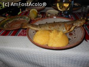 [P14] Restaurant “Casa Montană” - Păstrăvăria Slănic Moldova. Păstrăv la grătar cu mămăliguță. » foto by iulianic
 - 
<span class="allrVoted glyphicon glyphicon-heart hidden" id="av1229720"></span>
<a class="m-l-10 hidden" id="sv1229720" onclick="voting_Foto_DelVot(,1229720,9750)" role="button">șterge vot <span class="glyphicon glyphicon-remove"></span></a>
<a id="v91229720" class=" c-red"  onclick="voting_Foto_SetVot(1229720)" role="button"><span class="glyphicon glyphicon-heart-empty"></span> <b>LIKE</b> = Votează poza</a> <img class="hidden"  id="f1229720W9" src="/imagini/loader.gif" border="0" /><span class="AjErrMes hidden" id="e1229720ErM"></span>