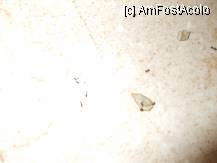 [P07]  -- <small>// FĂRĂ DESCRIERE</small> » foto by morocanoasa*
 - 
<span class="allrVoted glyphicon glyphicon-heart hidden" id="av239022"></span>
<a class="m-l-10 hidden" id="sv239022" onclick="voting_Foto_DelVot(,239022,9754)" role="button">șterge vot <span class="glyphicon glyphicon-remove"></span></a>
<a id="v9239022" class=" c-red"  onclick="voting_Foto_SetVot(239022)" role="button"><span class="glyphicon glyphicon-heart-empty"></span> <b>LIKE</b> = Votează poza</a> <img class="hidden"  id="f239022W9" src="/imagini/loader.gif" border="0" /><span class="AjErrMes hidden" id="e239022ErM"></span>