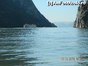 [P01]  -- <small>// FĂRĂ DESCRIERE</small> » foto by belutina
 - 
<span class="allrVoted glyphicon glyphicon-heart hidden" id="av479092"></span>
<a class="m-l-10 hidden" id="sv479092" onclick="voting_Foto_DelVot(,479092,9782)" role="button">șterge vot <span class="glyphicon glyphicon-remove"></span></a>
<a id="v9479092" class=" c-red"  onclick="voting_Foto_SetVot(479092)" role="button"><span class="glyphicon glyphicon-heart-empty"></span> <b>LIKE</b> = Votează poza</a> <img class="hidden"  id="f479092W9" src="/imagini/loader.gif" border="0" /><span class="AjErrMes hidden" id="e479092ErM"></span>