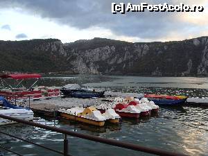 [P06]  -- <small>// FĂRĂ DESCRIERE</small> » foto by belutina
 - 
<span class="allrVoted glyphicon glyphicon-heart hidden" id="av479097"></span>
<a class="m-l-10 hidden" id="sv479097" onclick="voting_Foto_DelVot(,479097,9782)" role="button">șterge vot <span class="glyphicon glyphicon-remove"></span></a>
<a id="v9479097" class=" c-red"  onclick="voting_Foto_SetVot(479097)" role="button"><span class="glyphicon glyphicon-heart-empty"></span> <b>LIKE</b> = Votează poza</a> <img class="hidden"  id="f479097W9" src="/imagini/loader.gif" border="0" /><span class="AjErrMes hidden" id="e479097ErM"></span>