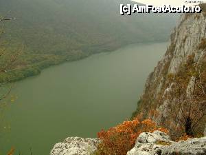 [P03]  -- <small>// FĂRĂ DESCRIERE</small> » foto by catmarin
 - 
<span class="allrVoted glyphicon glyphicon-heart hidden" id="av405047"></span>
<a class="m-l-10 hidden" id="sv405047" onclick="voting_Foto_DelVot(,405047,9782)" role="button">șterge vot <span class="glyphicon glyphicon-remove"></span></a>
<a id="v9405047" class=" c-red"  onclick="voting_Foto_SetVot(405047)" role="button"><span class="glyphicon glyphicon-heart-empty"></span> <b>LIKE</b> = Votează poza</a> <img class="hidden"  id="f405047W9" src="/imagini/loader.gif" border="0" /><span class="AjErrMes hidden" id="e405047ErM"></span>