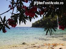 [P05]  -- <small>// FĂRĂ DESCRIERE</small> » foto by alisaL*
 - 
<span class="allrVoted glyphicon glyphicon-heart hidden" id="av245304"></span>
<a class="m-l-10 hidden" id="sv245304" onclick="voting_Foto_DelVot(,245304,9890)" role="button">șterge vot <span class="glyphicon glyphicon-remove"></span></a>
<a id="v9245304" class=" c-red"  onclick="voting_Foto_SetVot(245304)" role="button"><span class="glyphicon glyphicon-heart-empty"></span> <b>LIKE</b> = Votează poza</a> <img class="hidden"  id="f245304W9" src="/imagini/loader.gif" border="0" /><span class="AjErrMes hidden" id="e245304ErM"></span>