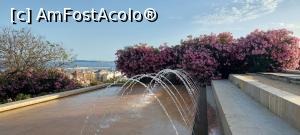 [P13] Alicante - frumosul parc Ereta » foto by Carmen Ion
 - 
<span class="allrVoted glyphicon glyphicon-heart hidden" id="av1315705"></span>
<a class="m-l-10 hidden" id="sv1315705" onclick="voting_Foto_DelVot(,1315705,9941)" role="button">șterge vot <span class="glyphicon glyphicon-remove"></span></a>
<a id="v91315705" class=" c-red"  onclick="voting_Foto_SetVot(1315705)" role="button"><span class="glyphicon glyphicon-heart-empty"></span> <b>LIKE</b> = Votează poza</a> <img class="hidden"  id="f1315705W9" src="/imagini/loader.gif" border="0" /><span class="AjErrMes hidden" id="e1315705ErM"></span>