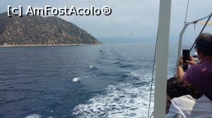 [P16] Delfini insotindu-ne :)  » foto by raducondurache
 - 
<span class="allrVoted glyphicon glyphicon-heart hidden" id="av775618"></span>
<a class="m-l-10 hidden" id="sv775618" onclick="voting_Foto_DelVot(,775618,9990)" role="button">șterge vot <span class="glyphicon glyphicon-remove"></span></a>
<a id="v9775618" class=" c-red"  onclick="voting_Foto_SetVot(775618)" role="button"><span class="glyphicon glyphicon-heart-empty"></span> <b>LIKE</b> = Votează poza</a> <img class="hidden"  id="f775618W9" src="/imagini/loader.gif" border="0" /><span class="AjErrMes hidden" id="e775618ErM"></span>